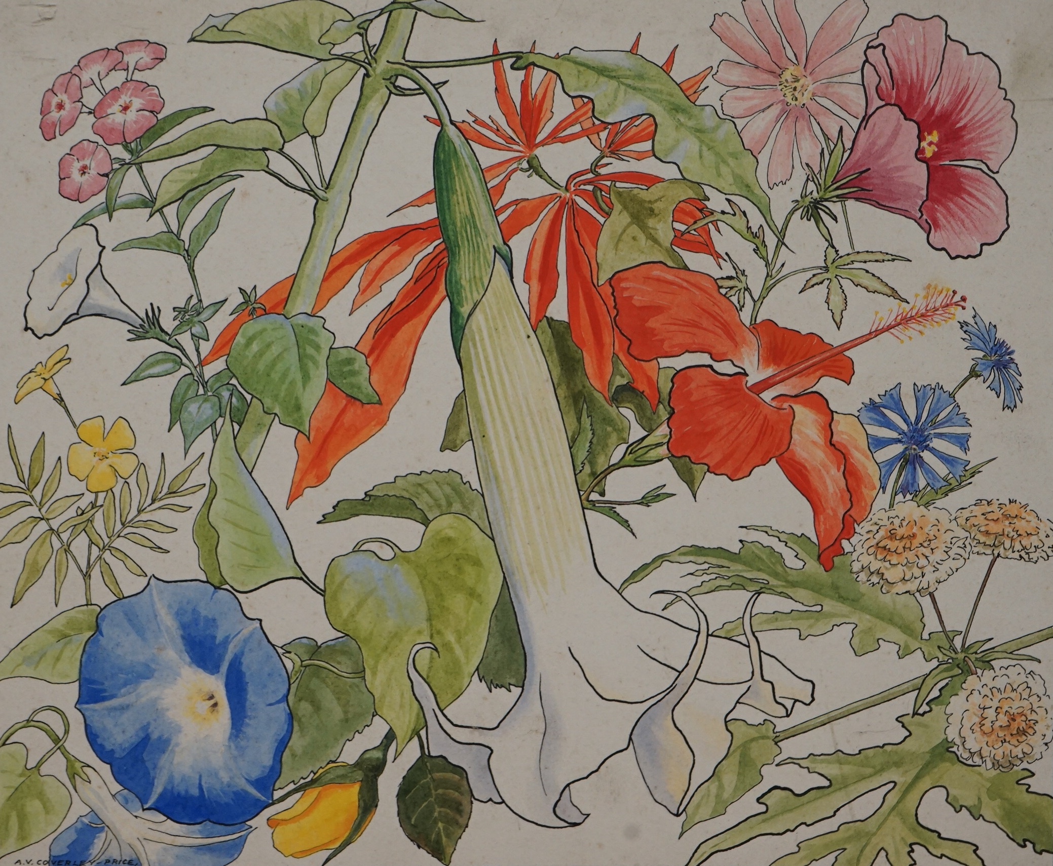 Arthur Victor Coverley-Price (1901-1988), ink and watercolour, ‘Mexican flower panel’, signed, 28 x 32cm, unframed. Condition - fair